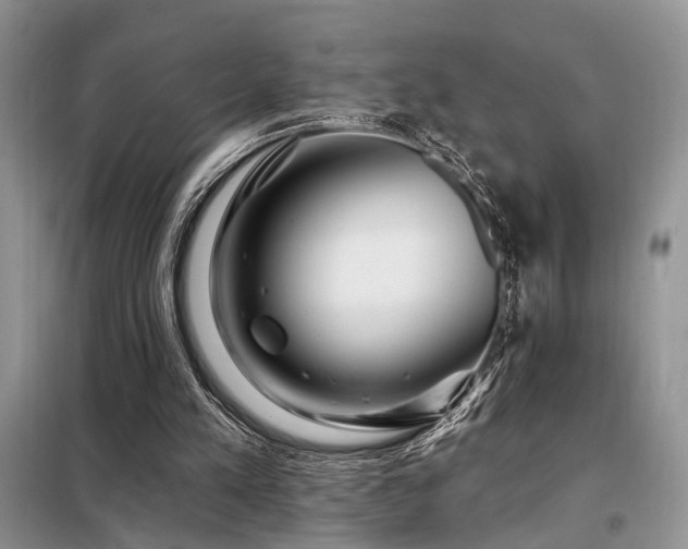 X0000098130197200804171530