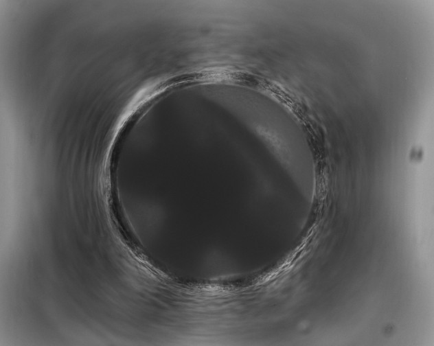 X0000098130198200804171530