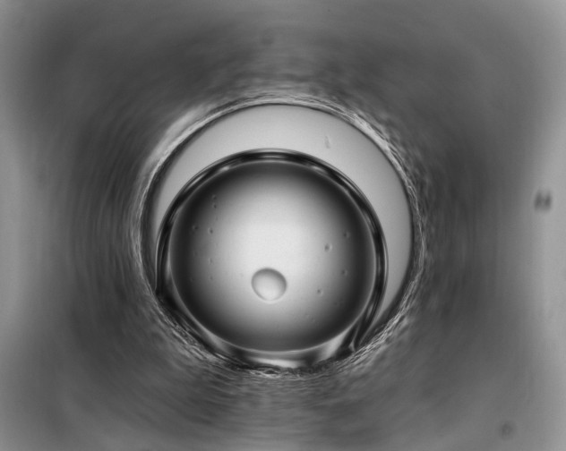 X0000098130199200804171530