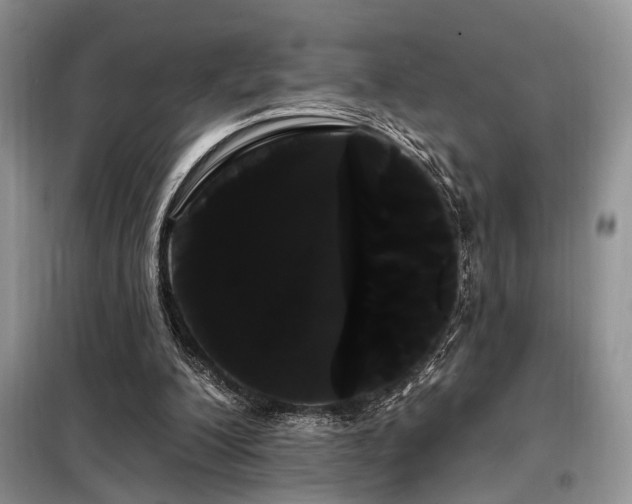X0000098130200200804171530