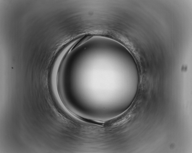 X0000098130201200804171530