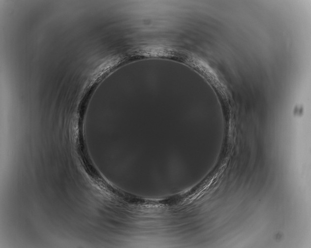 X0000098130202200804171530