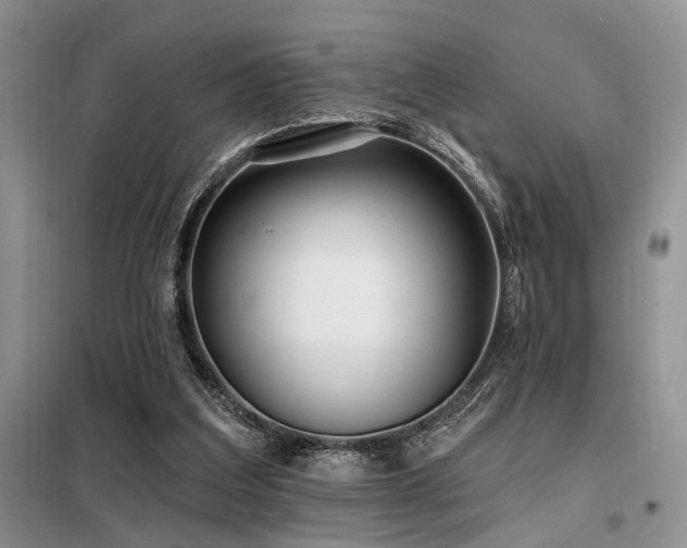 X0000098130203200804171530