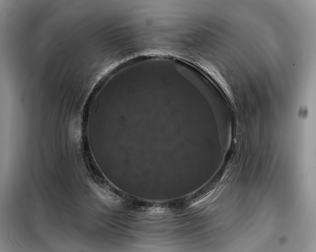 X0000098130204200804171530
