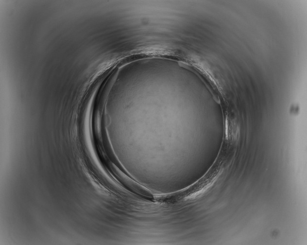 X0000098130205200804171530