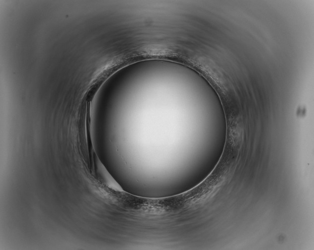 X0000098130207200804171530