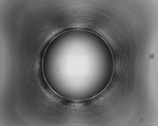 X0000098130208200804171530