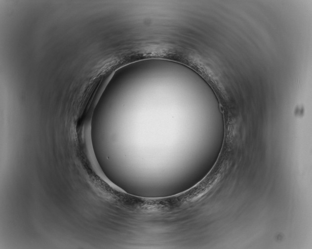 X0000098130209200804171530