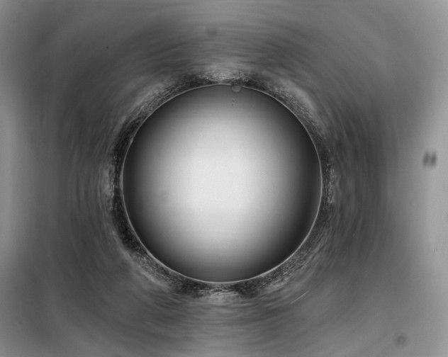 X0000098130210200804171530