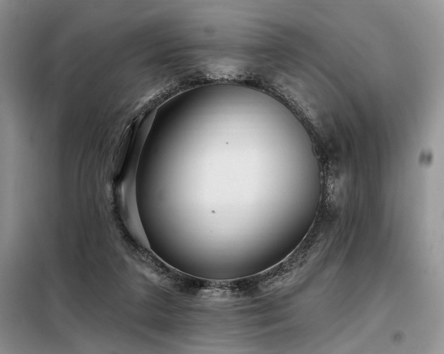 X0000098130211200804171530
