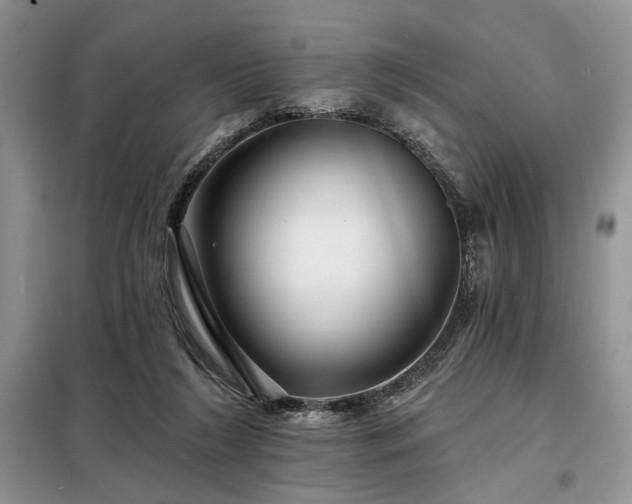 X0000098130212200804171530