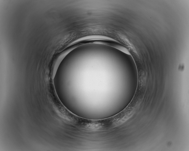 X0000098130213200804171530