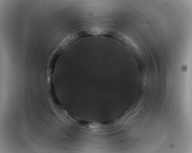X0000098130214200804171530