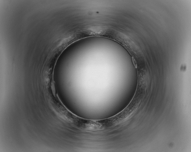 X0000098130215200804171530