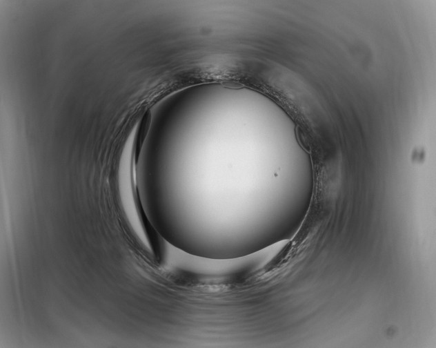 X0000098130217200804171530