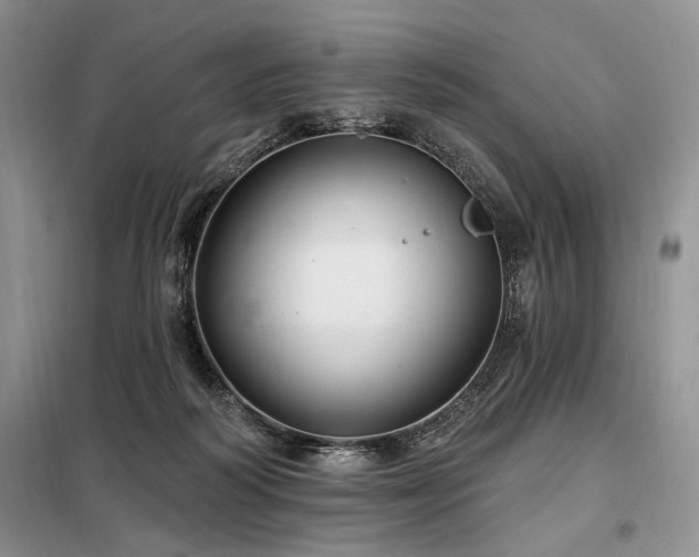 X0000098130218200804171530