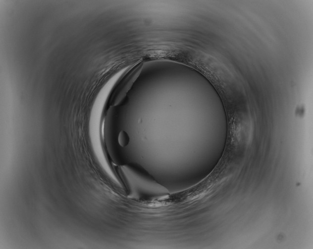 X0000098130219200804171530