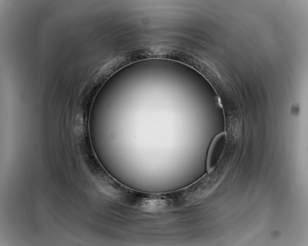 X0000098130220200804171530