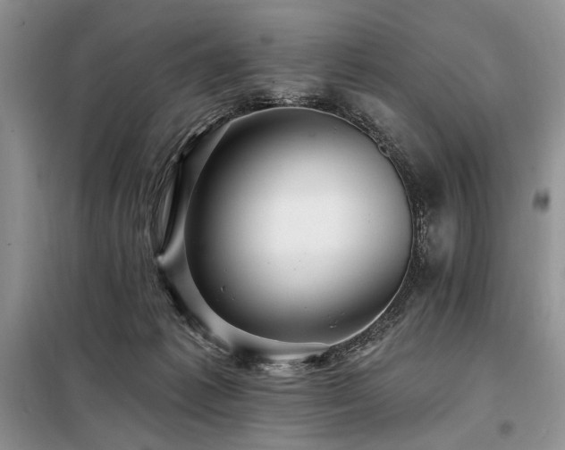 X0000098130221200804171530