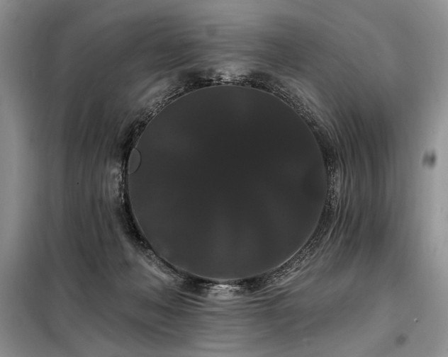 X0000098130222200804171530