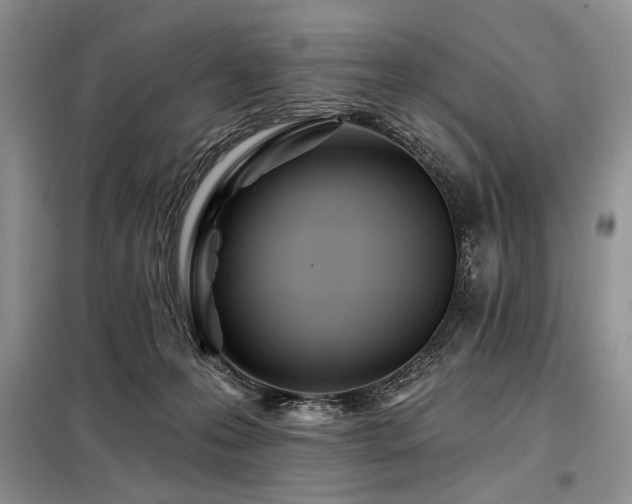 X0000098130223200804171530