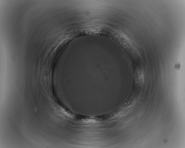 X0000098130224200804171530