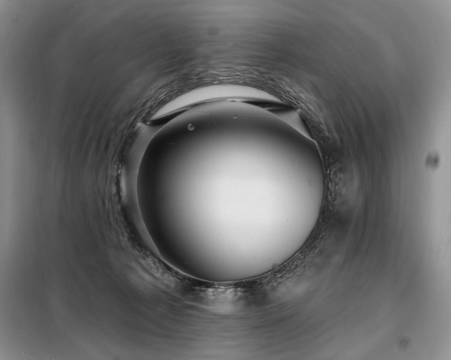 X0000098130225200804171530