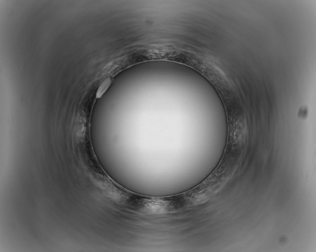 X0000098130226200804171530