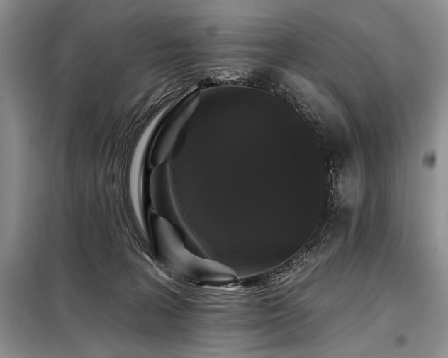 X0000098130227200804171530