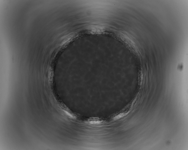 X0000098130228200804171530