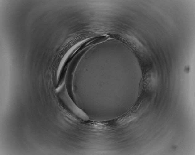 X0000098130229200804171530