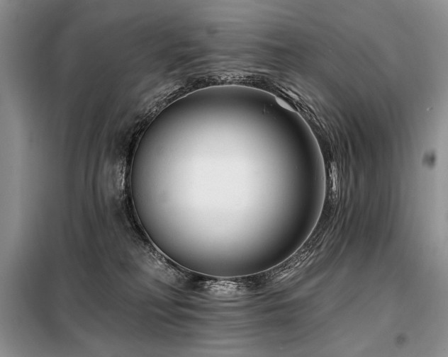 X0000098130230200804171530