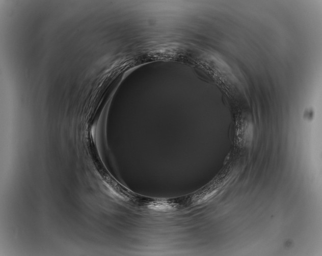 X0000098130231200804171530