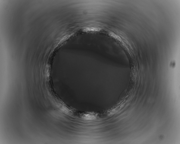 X0000098130232200804171530