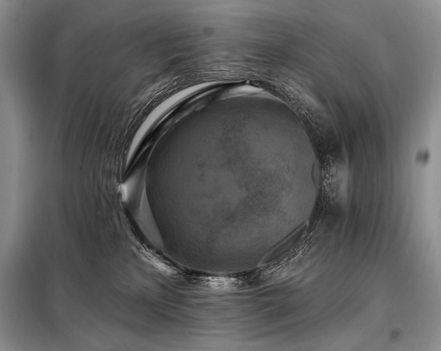 X0000098130233200804171530