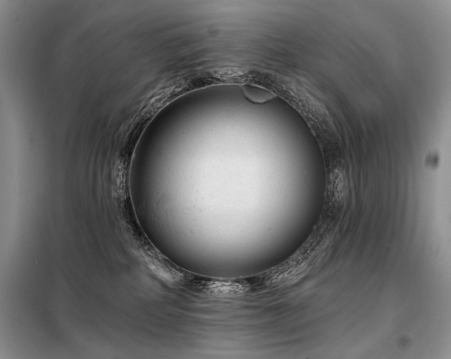 X0000098130234200804171530