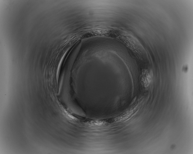 X0000098130235200804171530