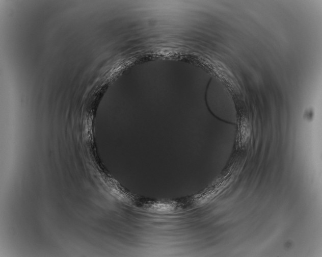 X0000098130236200804171530
