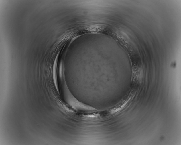 X0000098130237200804171530