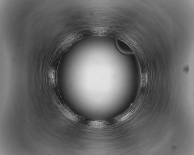X0000098130238200804171530