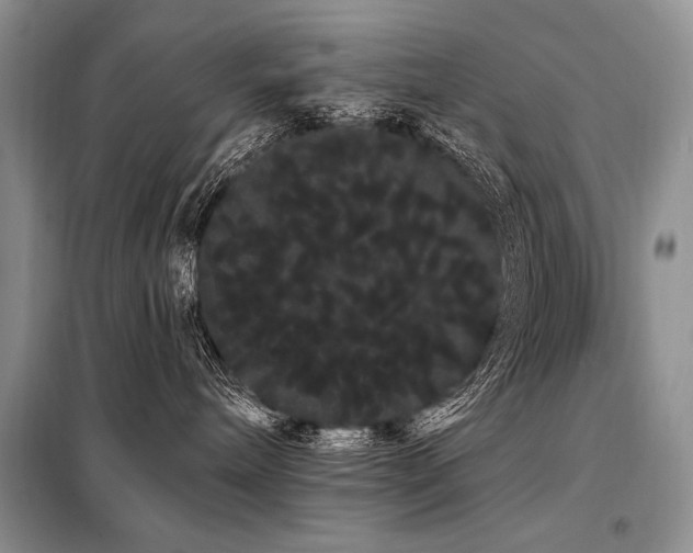 X0000098130240200804171530
