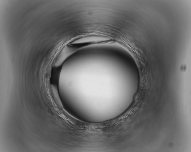 X0000098130241200804171529