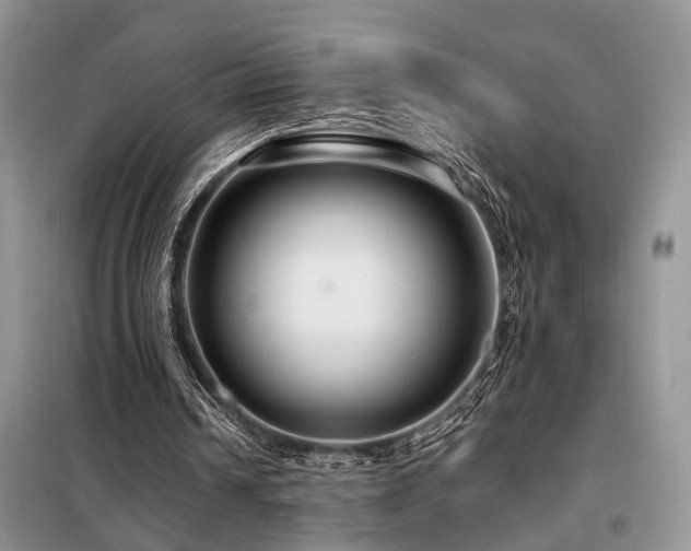 X0000098130242200804171529
