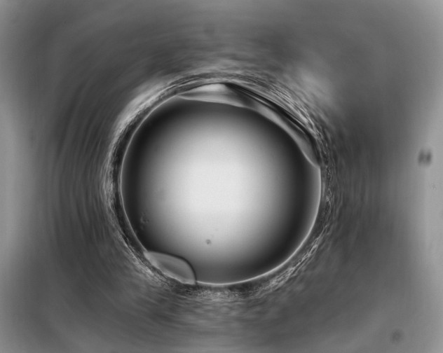 X0000098130245200804171529