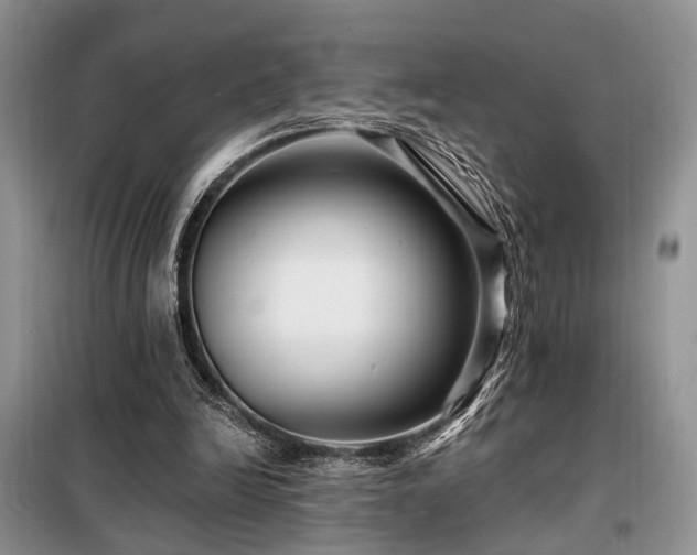X0000098130246200804171529