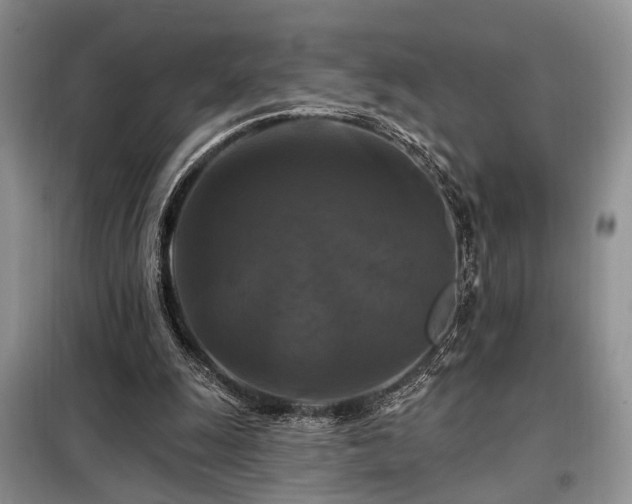 X0000098130247200804171529