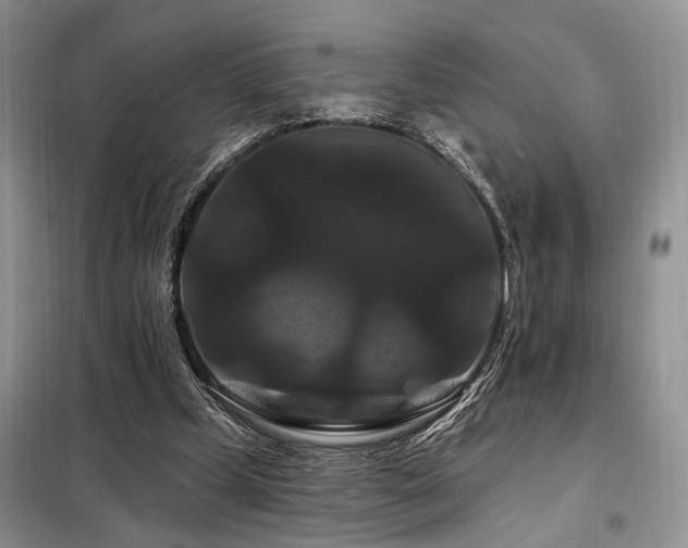 X0000098130249200804171529