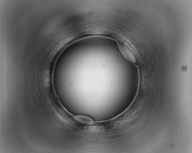 X0000098130251200804171529