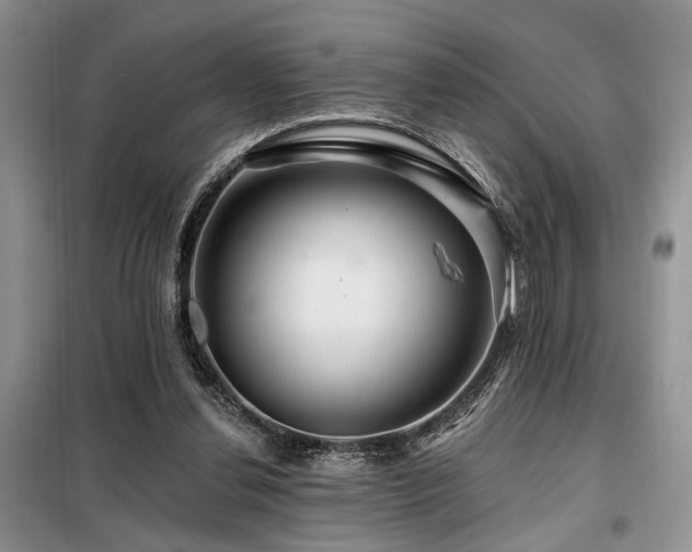 X0000098130252200804171529