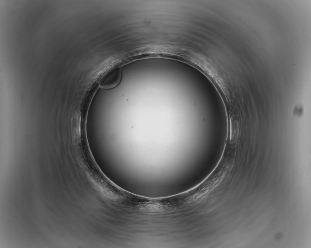 X0000098130253200804171529